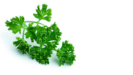 Greenery. Sprigs of curled parsley on a white background. Macro photo. High quality photo