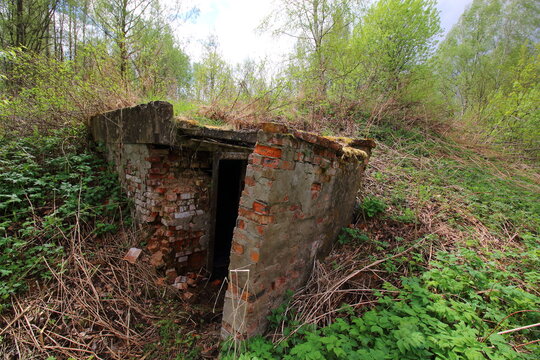 abandoned military ruins in the forest