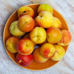 Fototapeta na wymiar Fresh organic apricots on wooden background, fruit vegan food