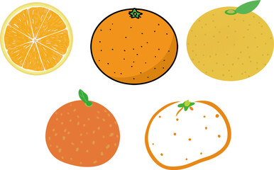 可愛いシンプルなみかんのイラストセット