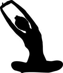 Silhouette Design from the Yoga in Black