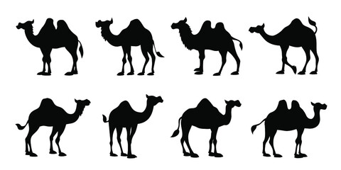 camel silhouettes 2
