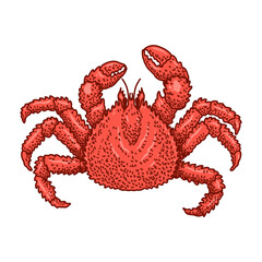 Illustration of crab in engraving style. Design element for logo, emblem, sign, poster, card, banner. Vector illustration