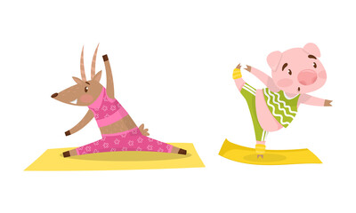 Funny Animals in Sportswear Standing in Yoga Pose Vector Set