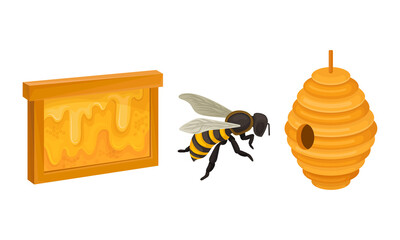 Honeybee and Hanging Beehive with Sticky Nectar Vector Set