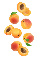 apricot fruit with half and slices isolated on white background. Clipping path. Top view. Flat lay