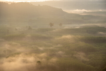 Obraz na płótnie Canvas Landscape of beautiful morning fog sunrise in southern of Thailand