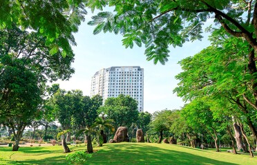 Naklejka premium Landscape photo: Gia Dinh park in Ho Chi Minh City in the morning (Vietnam)