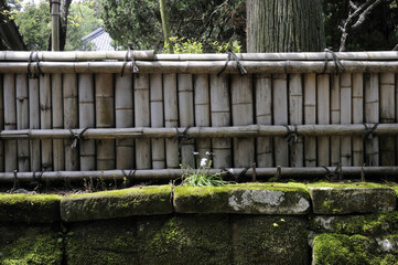 Fototapeta premium 古い寺の竹塀