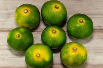 Early maturing mandarin orange (citrus unshiu) in Japan