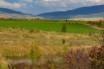 powerfull colors of nature with green fields