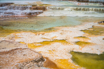 hydrothermal areas of mammoth hot springs in yellowstone national park, wyoming in the usa