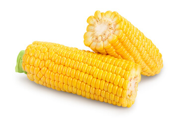 ear of corn isolated on a white background. Clipping path and full depth of field