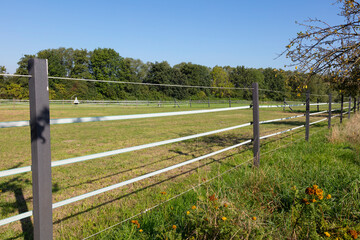 Elektrozaun an einem Feld, Nordrhein-Westfalen, Deutschland, Europa