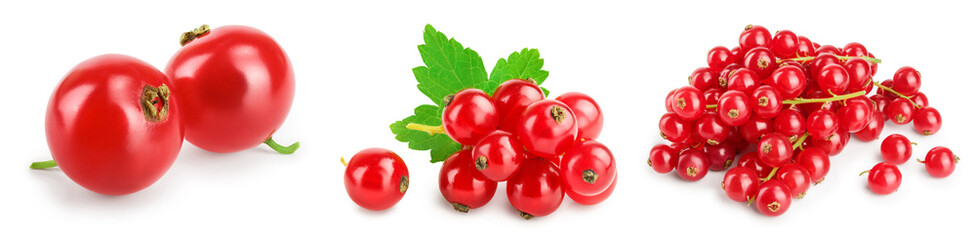 Red currant berries with leaf isolated on white background. Set or collection
