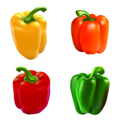 
Vector realistic illustration of vegetables. Yellow, red, green and orange peppers.