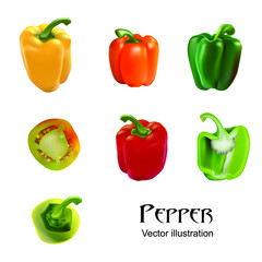 Realistic vector, isolated image of vegetables. Yellow, red, green and orange peppers. Top, side and straight view. Whole and chopped peppers.