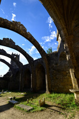 Santa Mariña church ruins of Cambados in Galicia.