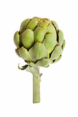 Obraz premium Fresh artichoke