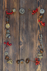 autumn frame on a wooden backdrop of acorns and rowan with copy space for text or design