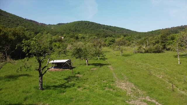 Streuobstwiesen, gef&auml;hrdeter Lebensraum im Rheintal bei Boppard-Buchenau