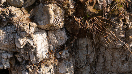 Stones texture and background. Rock texture