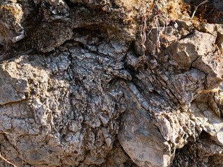 Stones texture and background. Rock texture