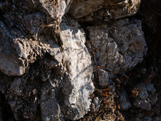 Stones texture and background. Rock texture