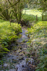 Cours d'eau dans la campagne.