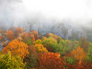 Colorful mountain landscape. Autumn in the mountains.