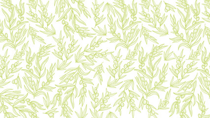 Naklejka na ściany i meble Olive Tree branches pattern. Olive-tree oil wrapper background. Light green color. Foliage leaves engraved vector line contour.