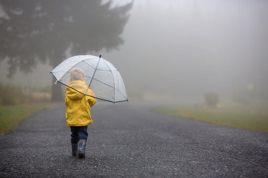 Cute blond toddler child, boy, playing in the rain with umbrella on a foggy autumn day