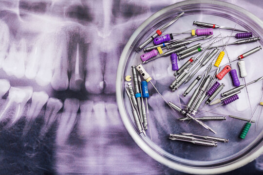 Dental instruments with jaw shot. Dentistry concept - Powered by Adobe