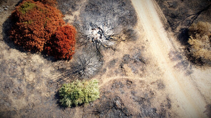 Scorched earth after a forest fire photographed with a drone from a bird's eye view.