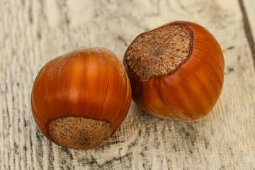 Two ripe tasty Whole hazelnut