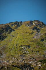 Vertical shot of stones and grassland on a hill