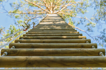 Wooden rope ladder attached to a tall tree in an extreme Park, bottom view.
