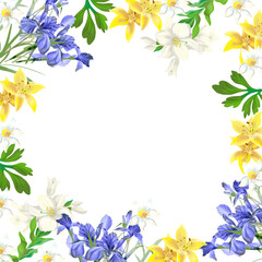 patterns and frame of blue and yellow flowers for design