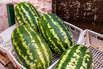 watermelons