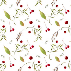 Seamless pattern with herbs, leaves and berries on white background. Hadn drawn illustration.