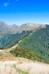 Pizzo Pernice - Piancavallone - Valgrande