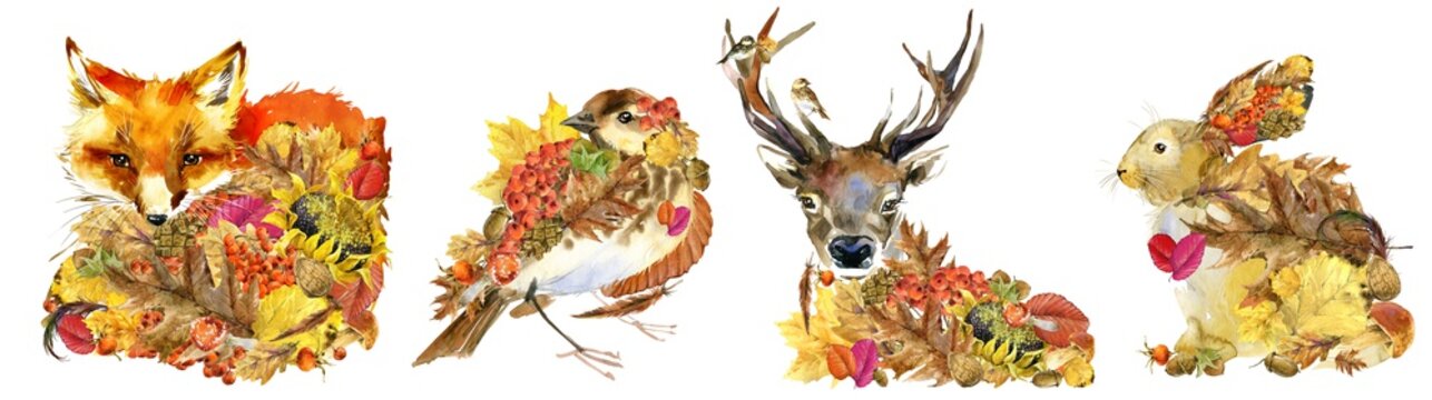 forest animals stickers set. fox. bird. deer. hare. autumn nature. colorful leaves. wildlife. woodland watercolor illustration.	
