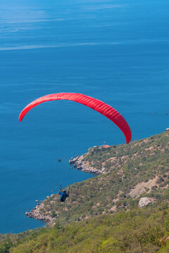 a man flies on a paraglider over a mountain in greenery and a blue sea