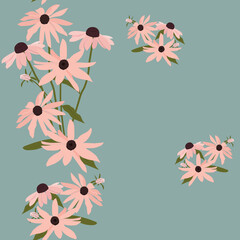 Seamless vector illustration with echinacea flowers, rudbeckia. - obrazy, fototapety, plakaty