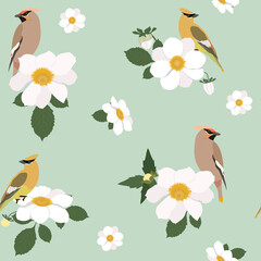 Seamless vector illustration with dahlias and birds waxwing