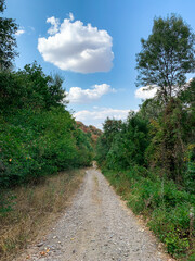 Fototapeta na wymiar Countryside gravel road through the woods