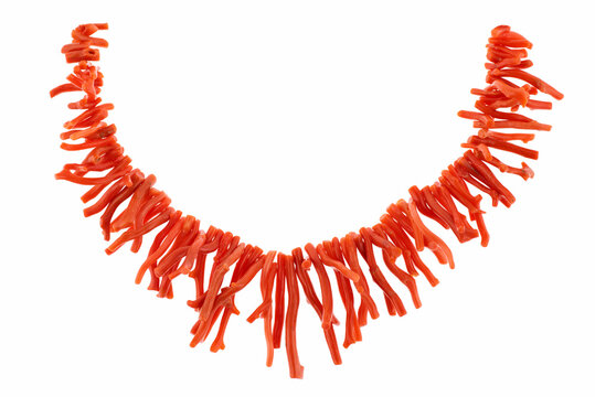 Collana rosso corallo su fondo bianco