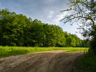 A dirt road through a field next to a deciduous forest during a sunny evening with clouds high in the sky.