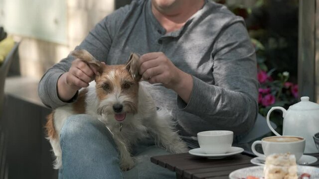 Man plays with small dog lying in his lap
