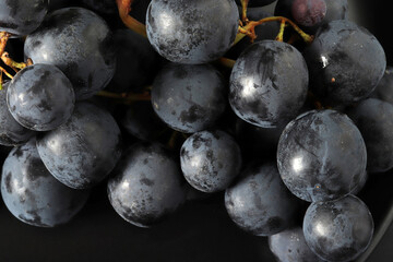 large and fresh black grapes